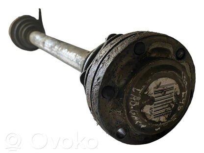 Aizmugurējā pusass