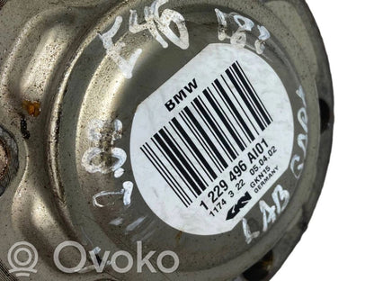 Aizmugurējā pusass