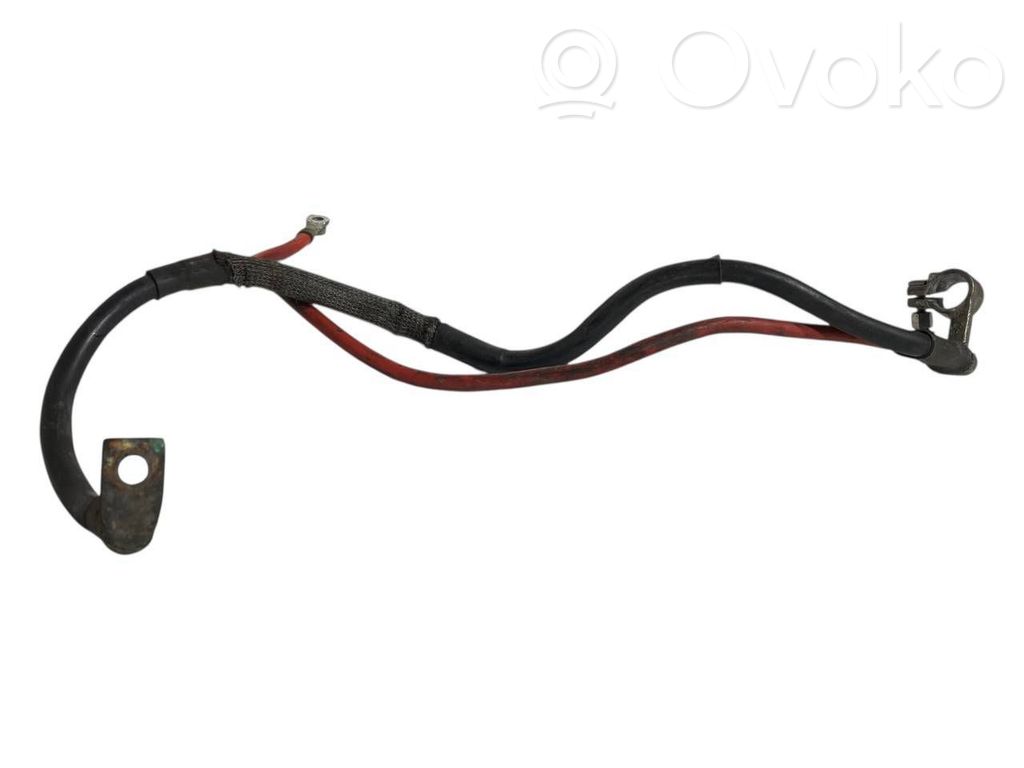 Plusa vads (akumulatora)