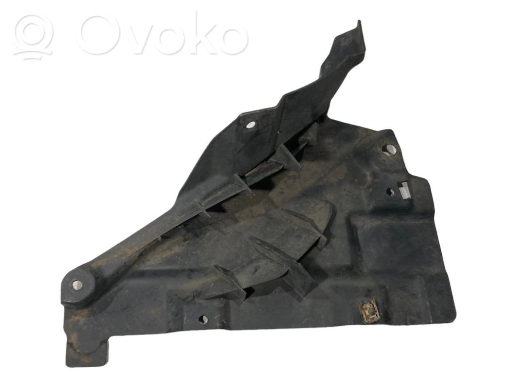 Under engine guard (front)