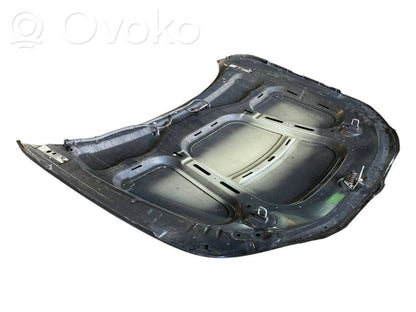 Dzinēja pārsegs (vāks)