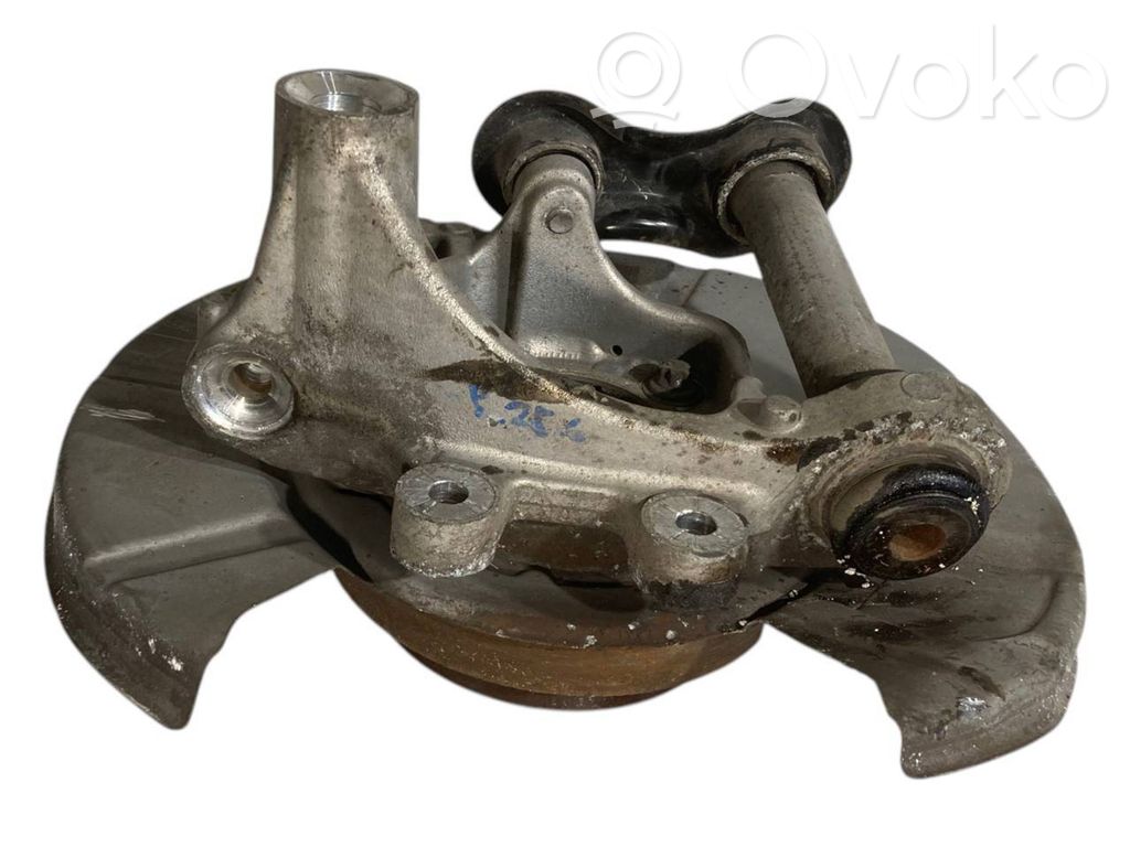 Rear wheel hub shaft joint (stupica, capfa)