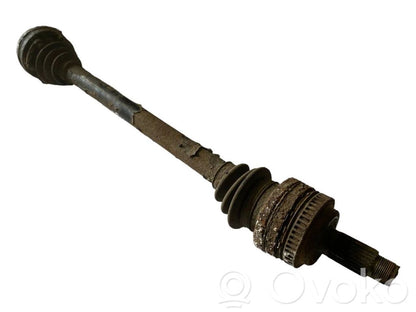 Aizmugurējā pusass