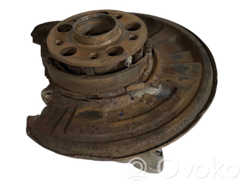 Rear wheel hub shaft joint (stupica, capfa)