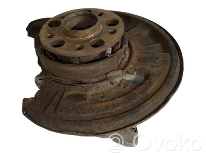 Rear wheel hub shaft joint (stupica, capfa)