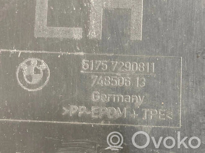 Underbody protection at the rear of the chassis