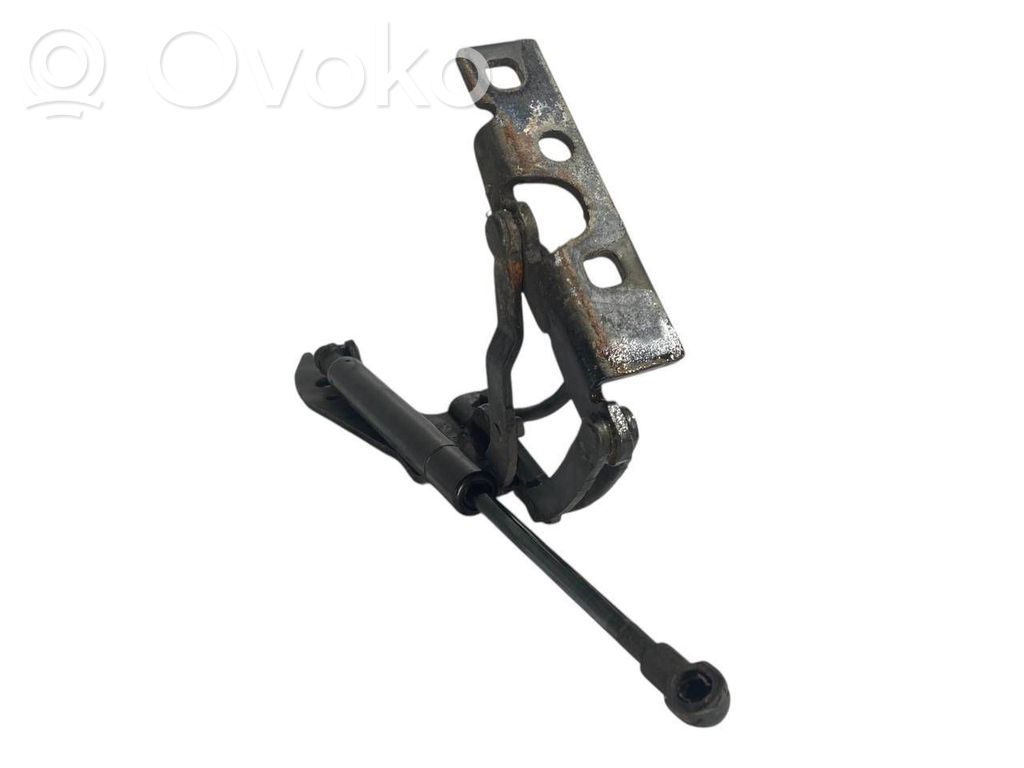 Dzinēja pārsega eņģe (-es)