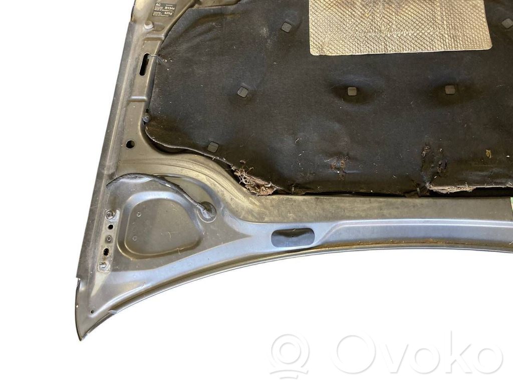 Dzinēja pārsegs (vāks)