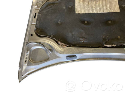 Dzinēja pārsegs (vāks)