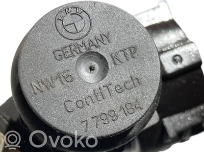 Caurulīte (-es) / šļūtene (-es)