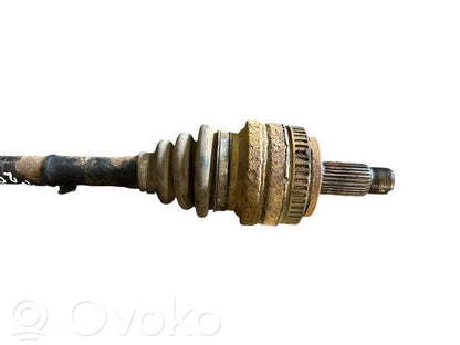 Aizmugurējā pusass