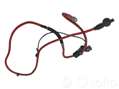 Plusa vads (akumulatora)