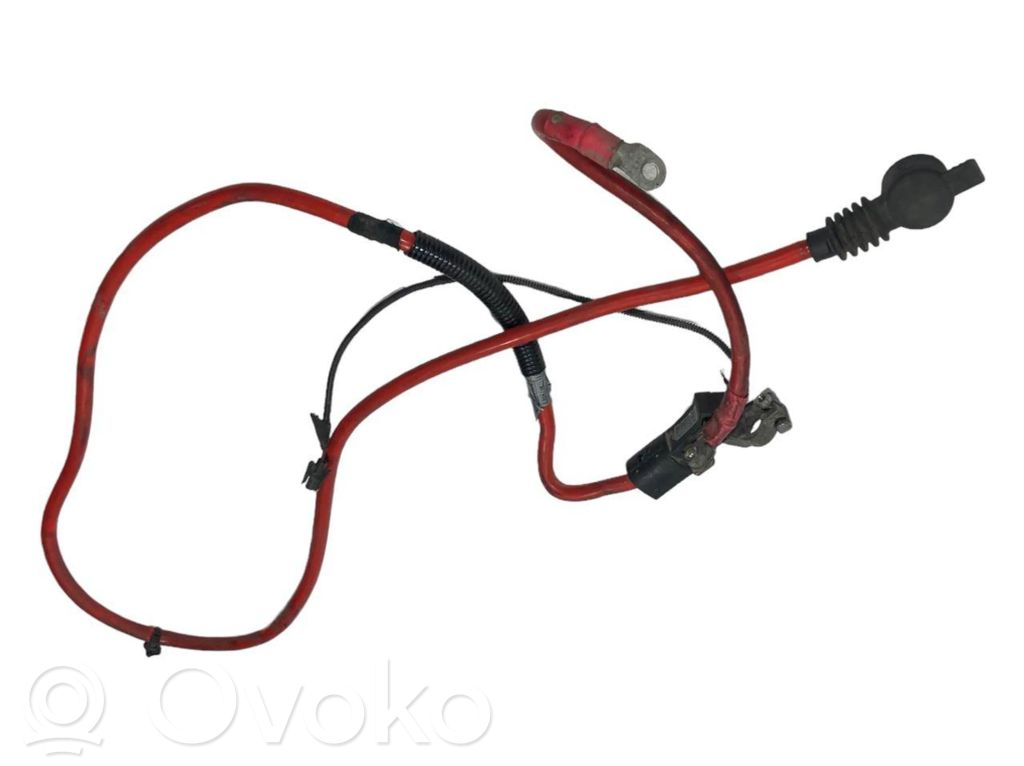 Plusa vads (akumulatora)