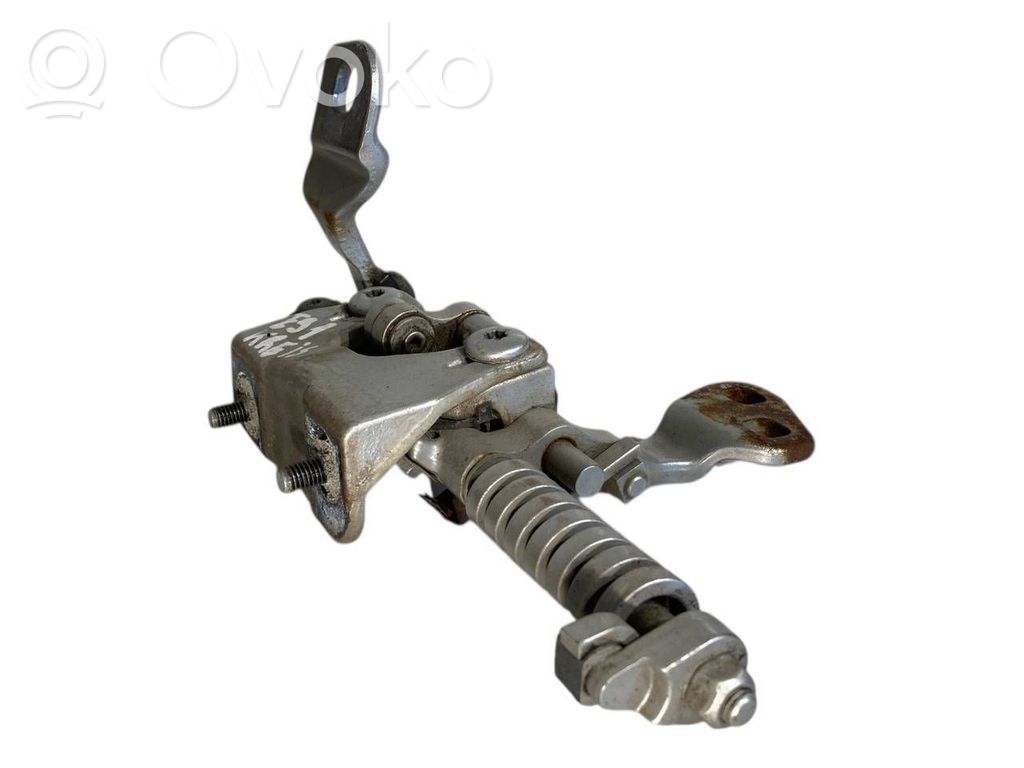 Aizmugurējā pārsega eņģe (-ess)