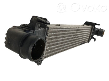 Intercooler radiator