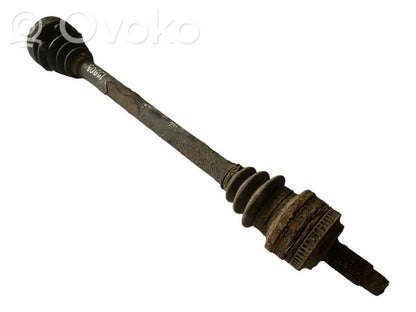 Aizmugurējā pusass