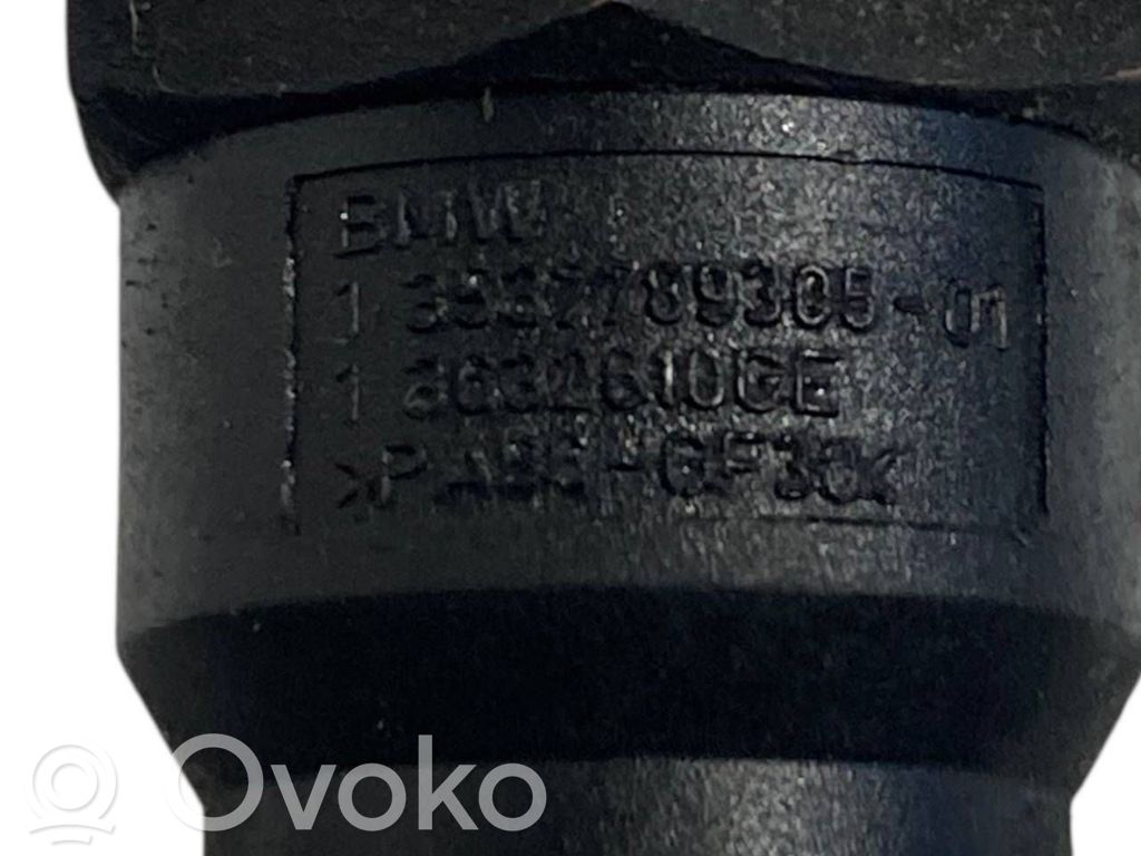 Caurule (-es) / šļūtene (-es)