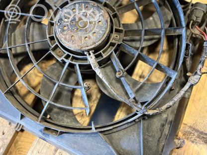 Electric radiator fan