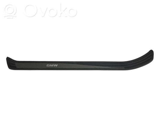 Front sill trim (inner)