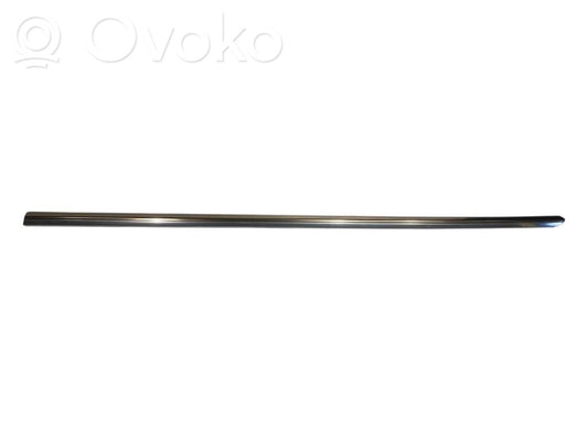 Aizmugurē durvju dekoratīvā apdare (moldings)