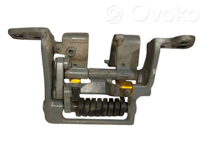 Aizmugurējā pārsega eņģe (-ess)