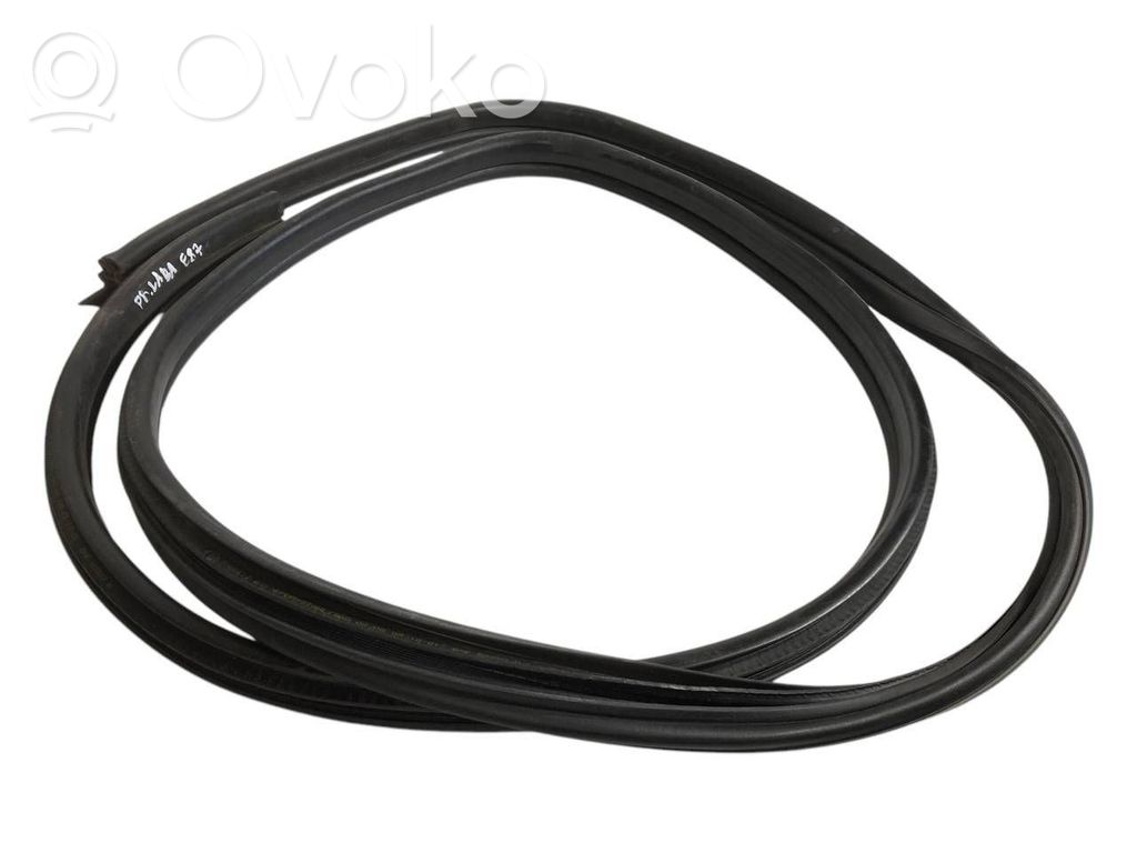 Front trim rubber (in the body)