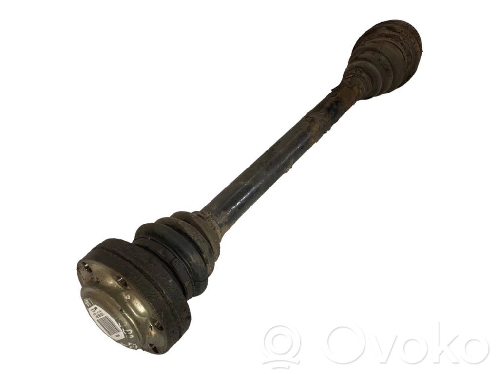 Aizmugurējā pusass