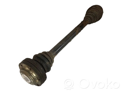 Aizmugurējā pusass