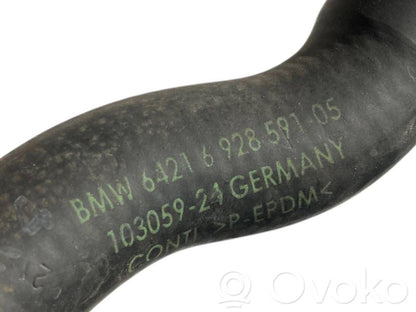 Caurulīte (-es) / šļūtene (-es)