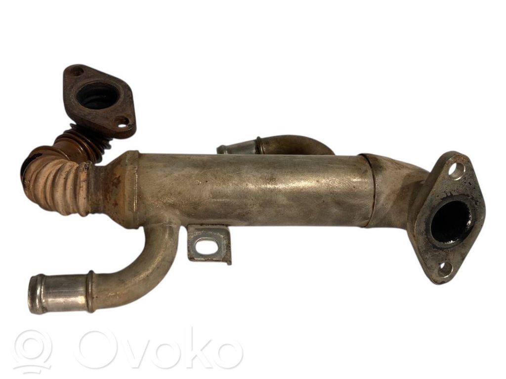EGR dzesētājs