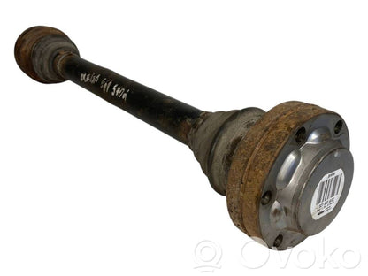 Aizmugurējā pusass