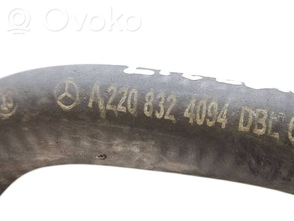 Caurulīte (-es) / šļūtene (-es)