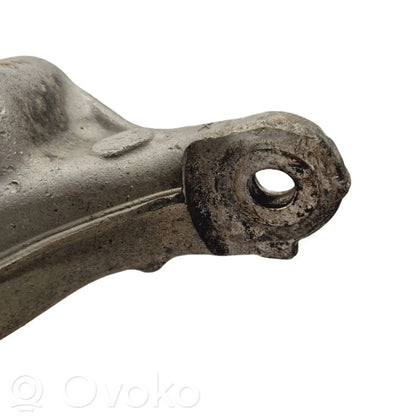 Apakšējais aizmugurējais plaukts