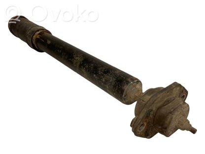 Aizmugurē amortizators