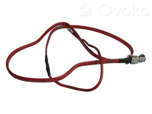 Plusa vads (akumulatora)