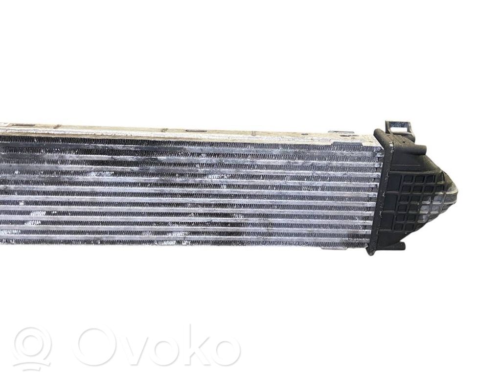 Starpdzesētāja radiators