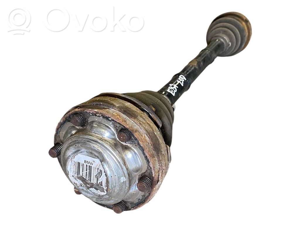Aizmugurējā pusass