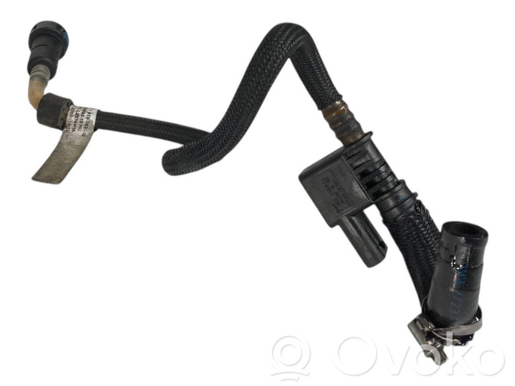 Caurule (-es) / šļūtene (-es)