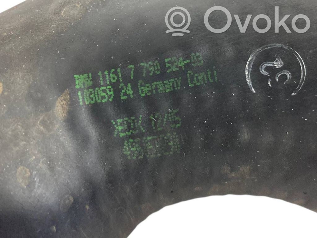 Interkūlera šļūtene (-es) / caurule (-es)