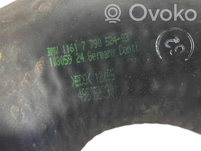 Interkūlera šļūtene (-es) / caurule (-es)