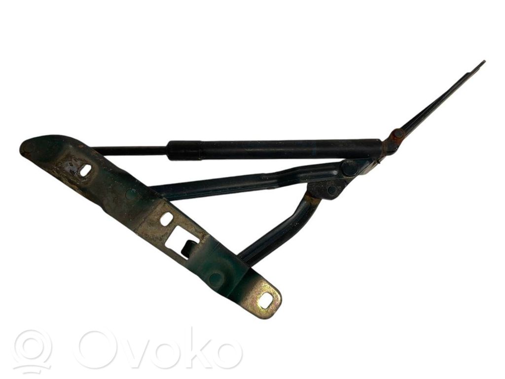 Aizmugurējā pārsega eņģe (-ess)