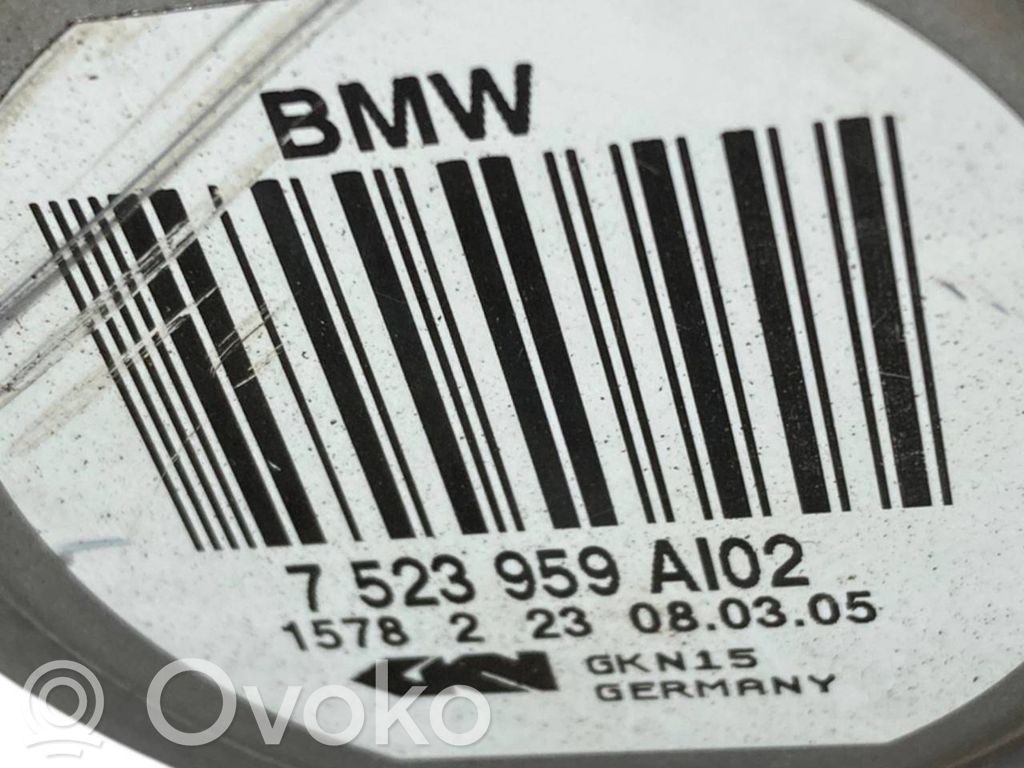 Aizmugurējā pusass