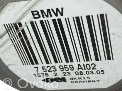 Aizmugurējā pusass