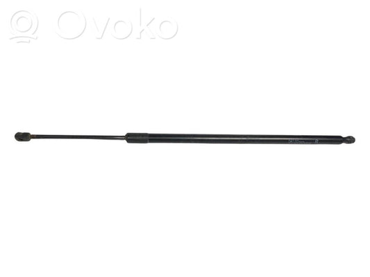 Bagāžnieka amortizators