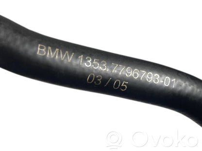 Caurule (-es) / šļūtene (-es)