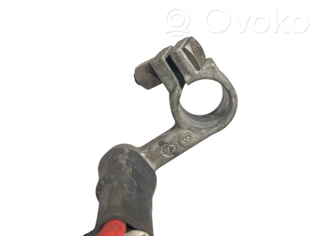 Plusa vads (akumulatora)