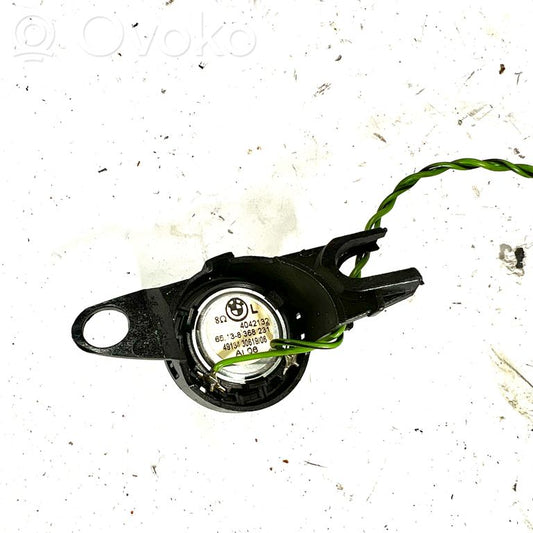 Tweeter(s) in front door