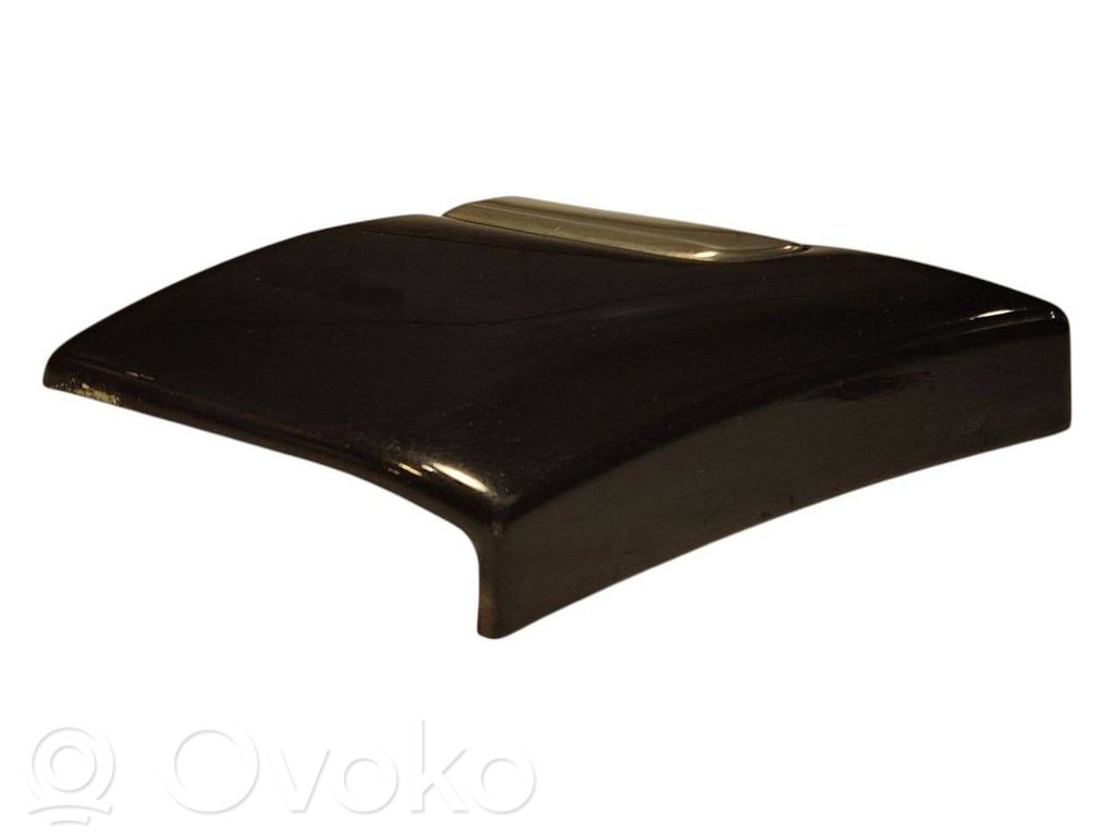 Aizmugurējā spārna uzlika / moldings