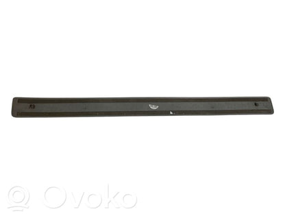 Front sill trim (inner)