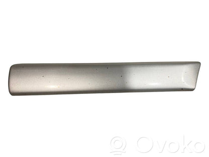 Fender decorative trim (molding)